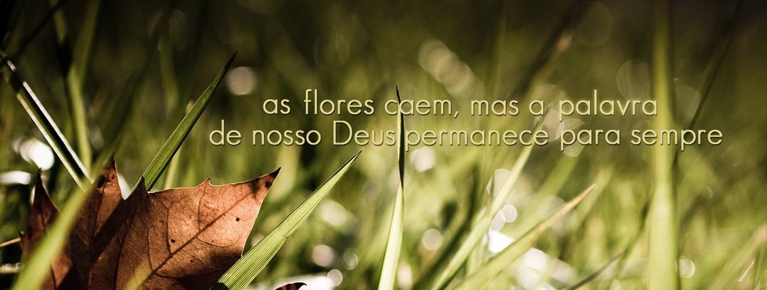 nao andeis